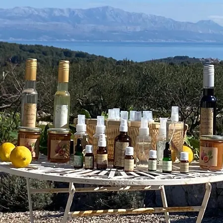 Hacienda Lucio Villa Grohote